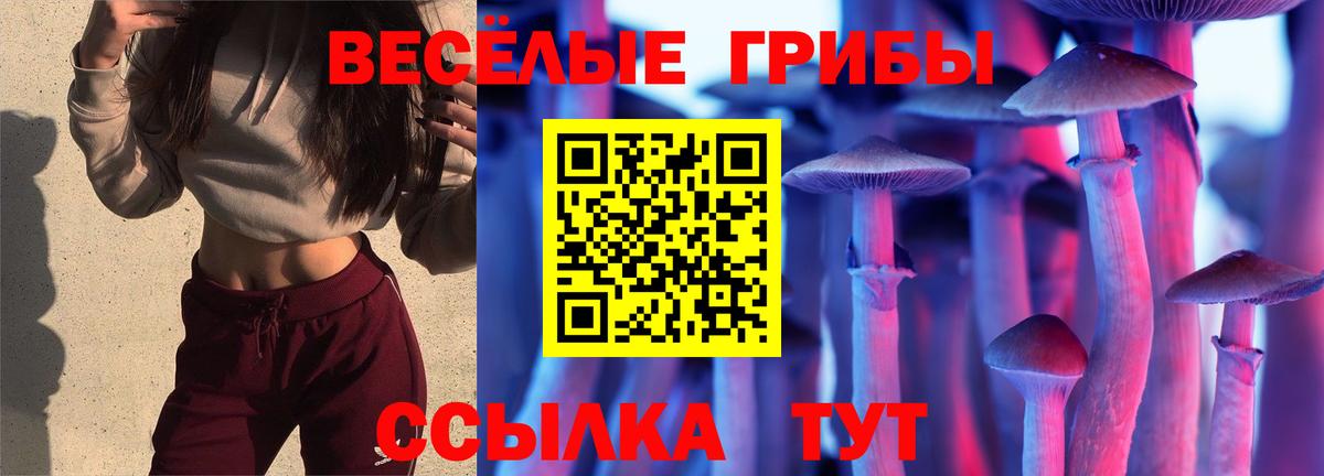 Видное  Псилоцибиновые грибы ЛСД  Вход с VPN 